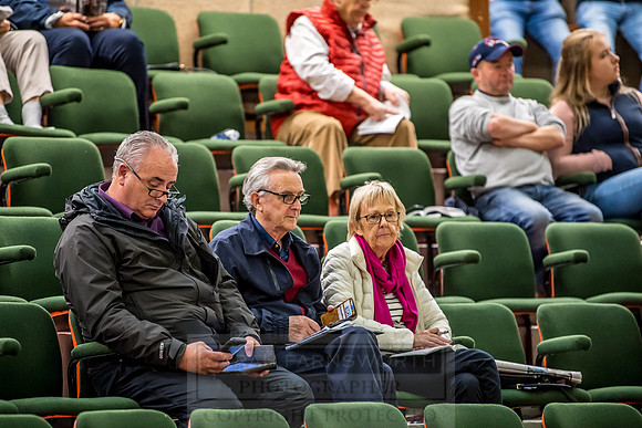 Goffs Orby 2018 Day 2-121