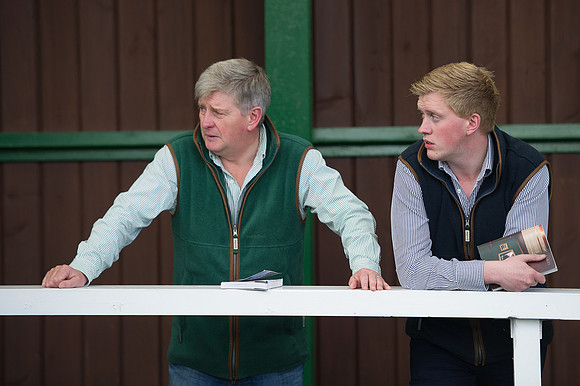Goffs Orby14 CF10 323