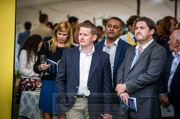 Goffs London Sale 2016-282