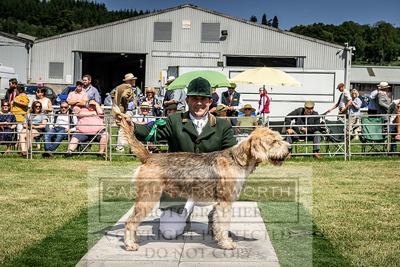Builth Hound Show 2019-95