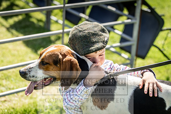 Builth Hound Show 2019-2