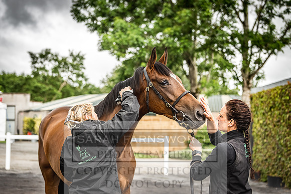 Goffs Land Rover Sale 2022-535