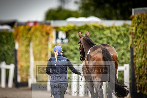 Goffs Land Rover Sale 2022-617