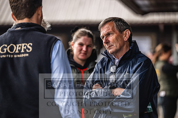 Goffs UK Spring Sale 2024-59