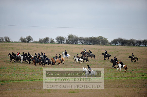 Brocklesby 021113 CF3 525