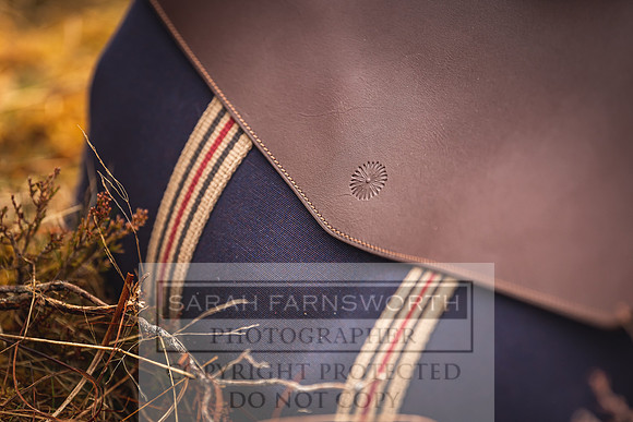 Purdey AW21-310