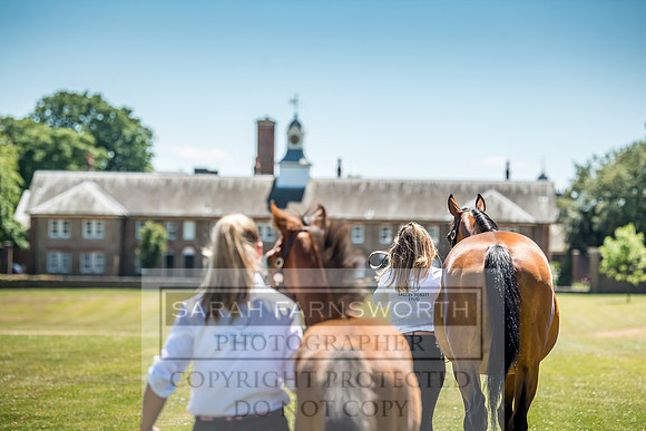 Goffs London Sale 2018-17