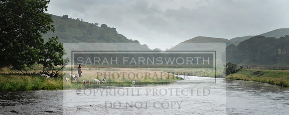 card 1 164 pan