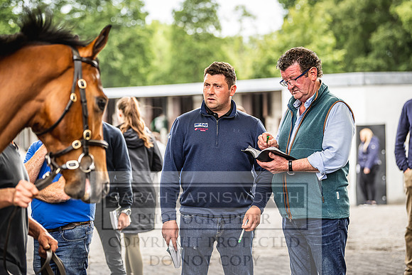 Goffs Land Rover Sale 2022-432