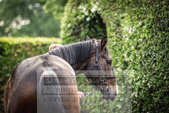 Goffs Land Rover Sale 2022-10