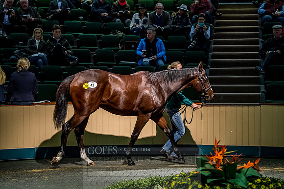 Goffs Orby 2018 Day 1-234