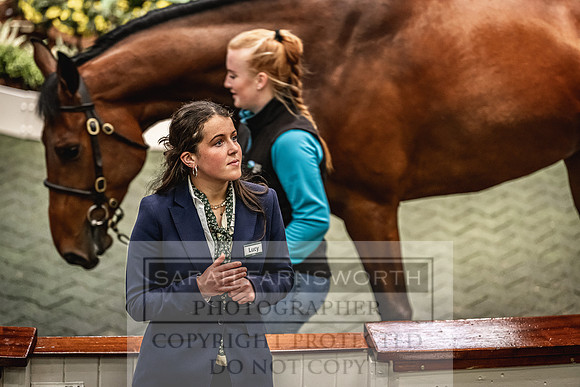 Goffs Land Rover Sale 2022-600