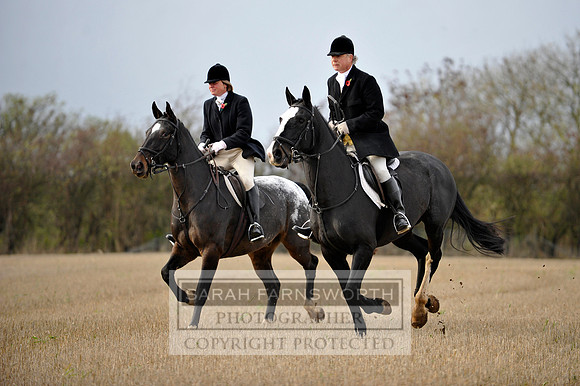 Brocklesby 021113 CF3 790