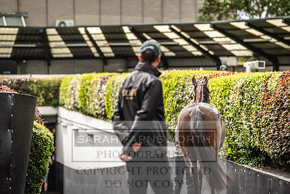 Goffs Land Rover Sale 2022-584