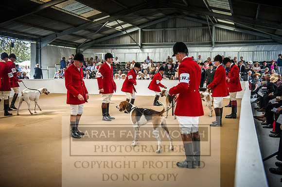 PFoH 2016-182