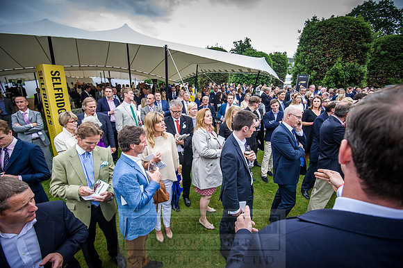 Goffs London Sale 2016-485