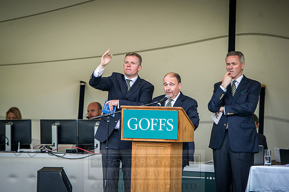 Goffs London Sale 2016-444