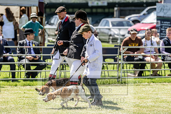 Builth Hound Show 2019-102