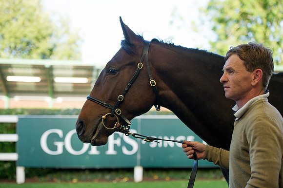 Goffs Orby14 CF7 520