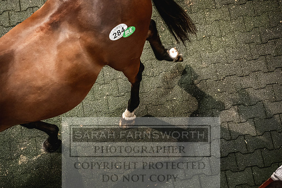 Goffs Land Rover Sale 2022-603
