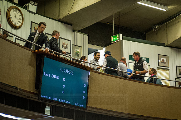 Goffs Orby 2015 -628