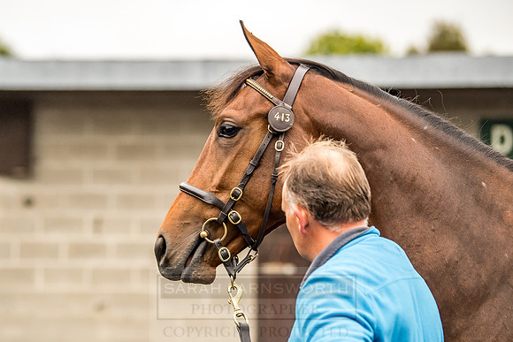 Goffs Orby 2018 Day 1-80