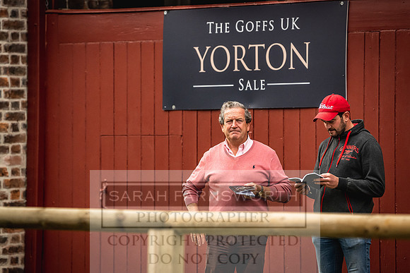 Goffs Yorton Sale 2022-118