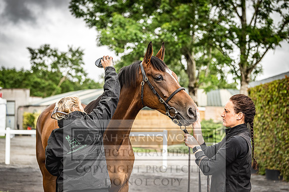 Goffs Land Rover Sale 2022-534