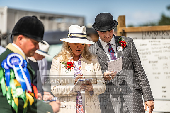 Honiton Hound Show 2022-101
