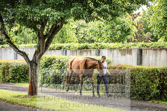 Goffs Land Rover Sale 2022-42