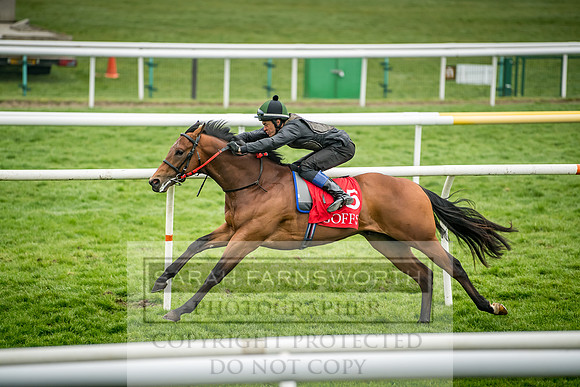 GUK Breeze Up 2018-165