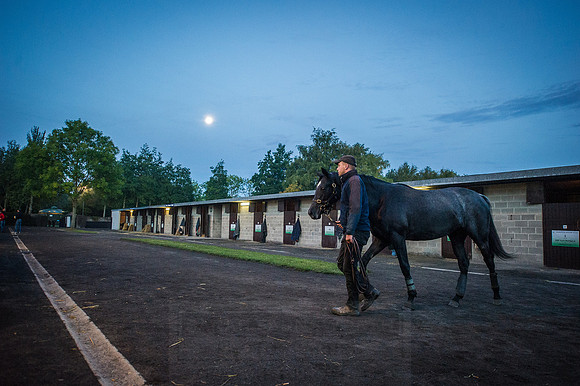 Goffs Orby 2015 -38