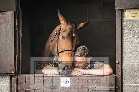 Goffs Land Rover Sale 2022-340
