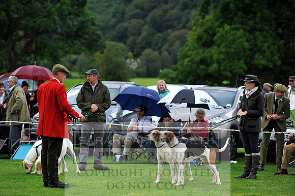 Rydal 2014 CF2 240