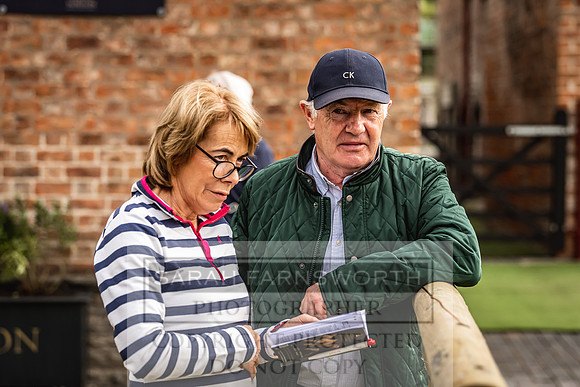Goffs Yorton Sale 2022-218