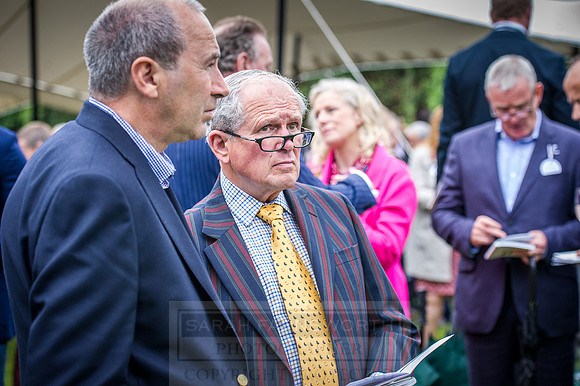 Goffs London Sale 2016-467