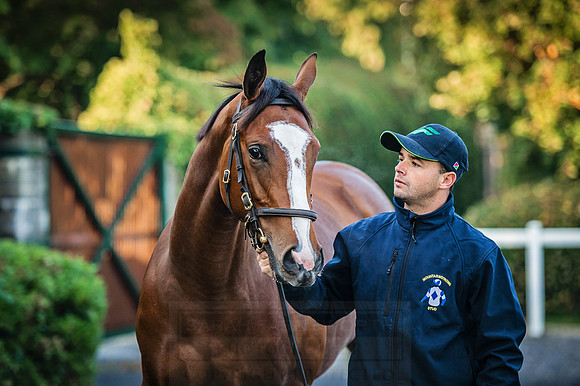 Goffs Orby 2015 -131