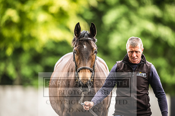Goffs Land Rover Sale 2022-488