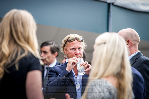 Goffs London Sale 2016-181