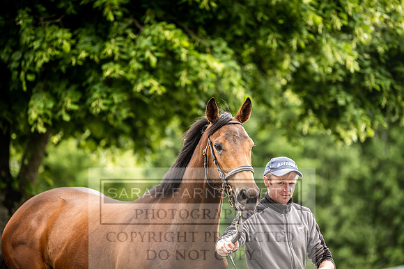 Goffs Land Rover Sale 2022-393