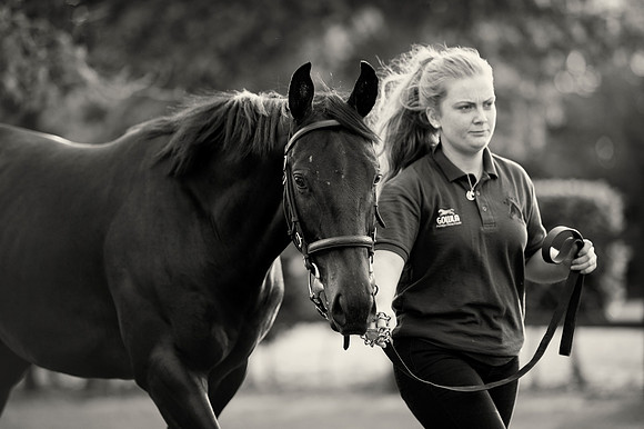 Goffs Orby14 CF1 262 bw