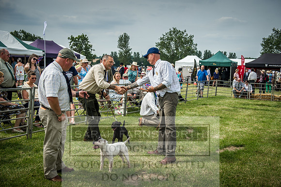 PFoH 2016-243