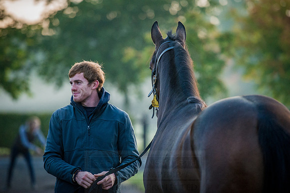 Goffs Orby 2015 -80