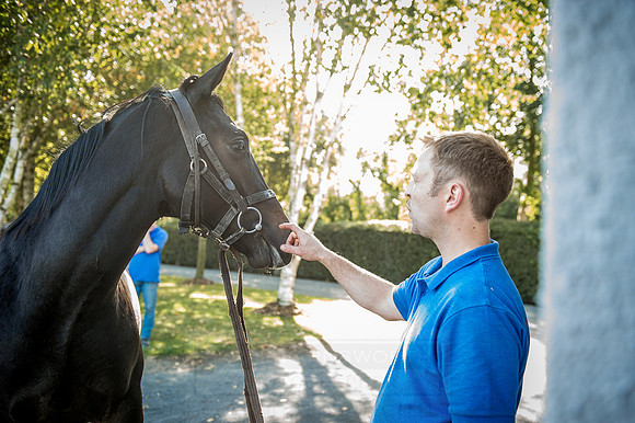 Goffs Orby 2015 -391