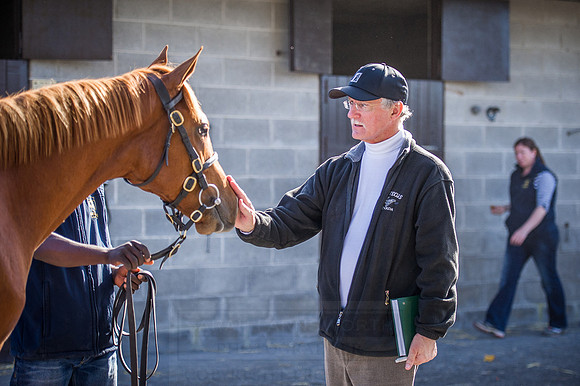 Goffs Orby 2015 -402