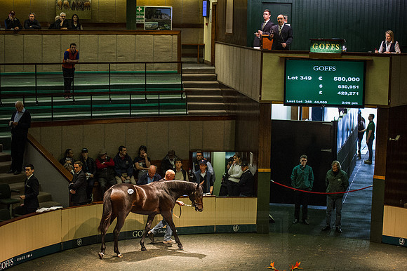 Goffs Orby 2015 -582