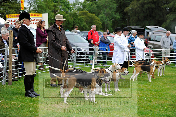 Rydal 2014 CF2 311