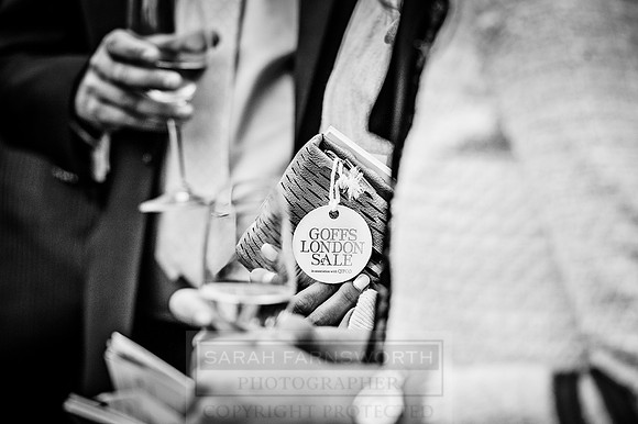 Goffs London Sale 2016-457