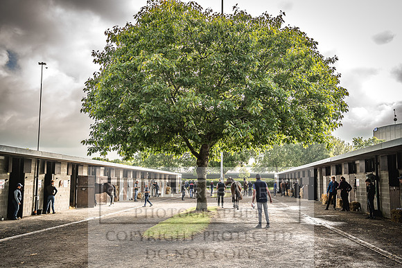 Goffs Land Rover Sale 2022-98