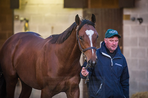 Goffs Orby 2015 -18
